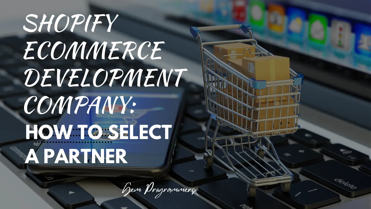 Shopify Ecommerce Development Company: How to Select a Partner