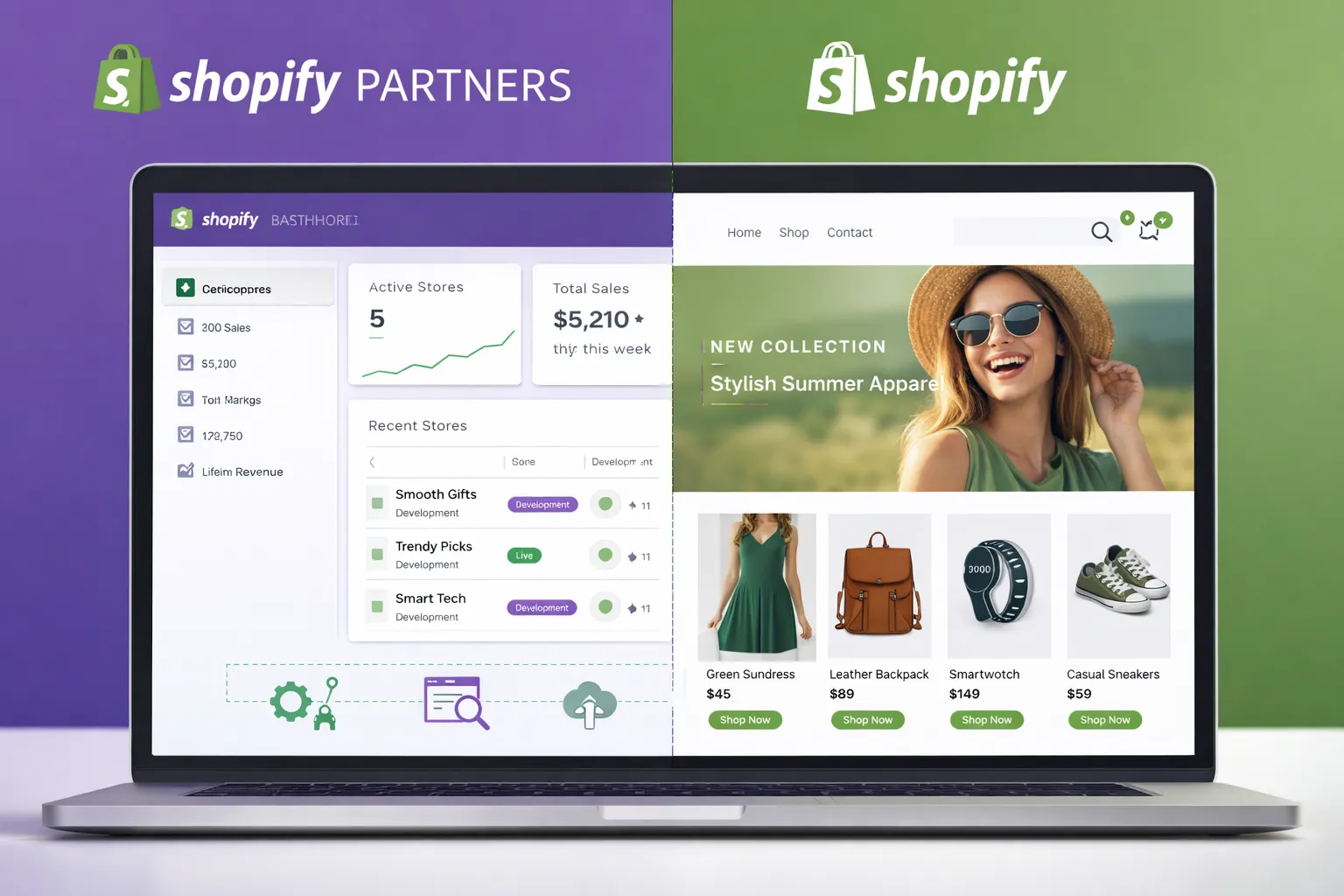 Shopify Development Store
